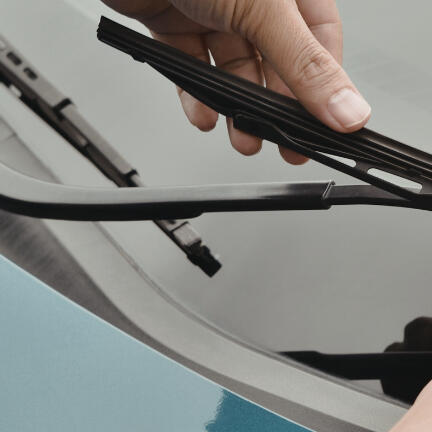 Windshield Leak Repair